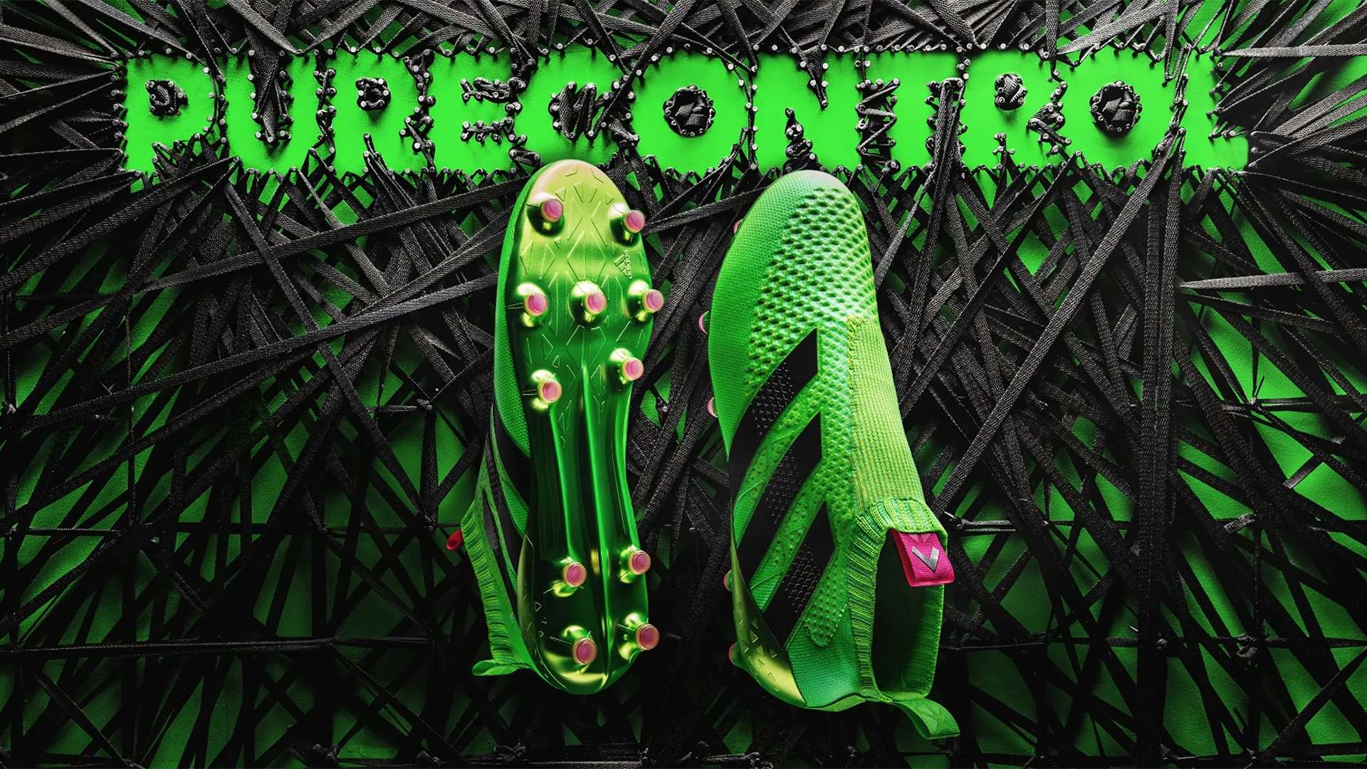 确保市民有 确保市民有