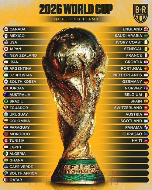2026年世界杯投注赔率的深度解读